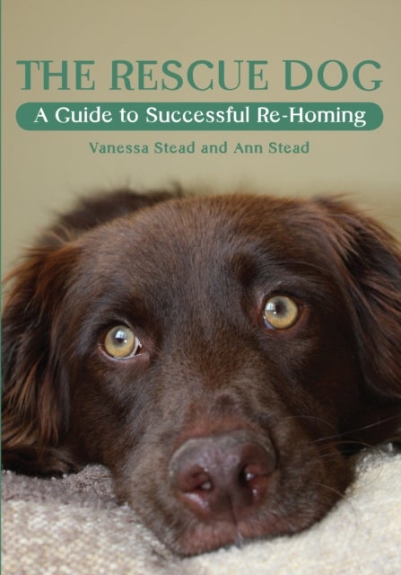 The Rescue Dog - A Guide to Successful Re-homing