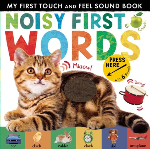Noisy First Words - My First Touch and Feel Sound Book