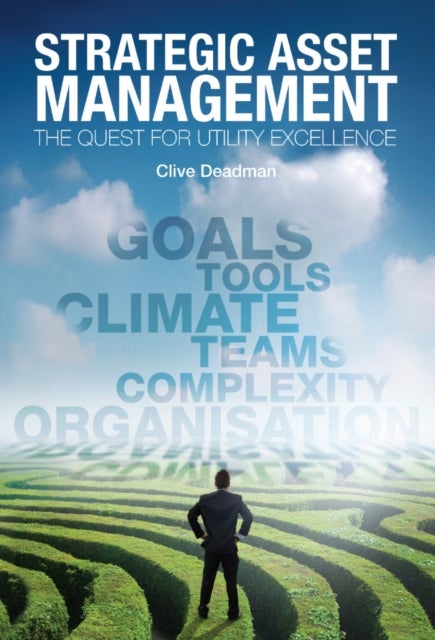 Strategic Asset Management - The quest for utility excellence