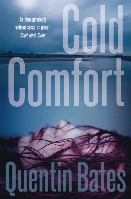 Cold Comfort - A chilling and atmospheric crime thriller full of twists