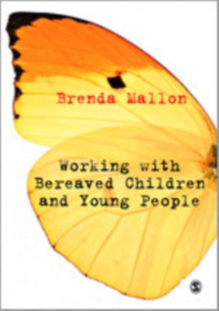 Working with Bereaved Children and Young People
