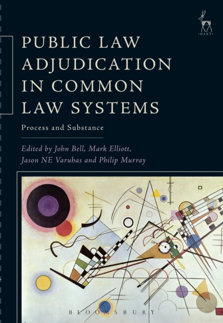 Public Law Adjudication in Common Law Systems - Process and Substance