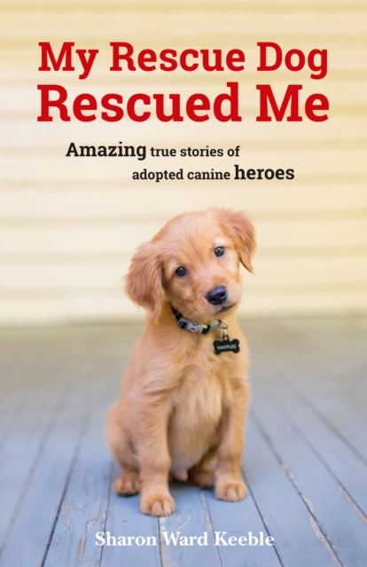 My Rescue Dog Rescued Me - Amazing True Stories of Adopted Canine Heroes