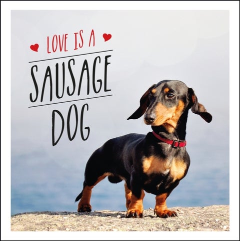 Love is a Sausage Dog - A Pup-Tastic Celebration of Dachshunds - The World's Cutest Dogs