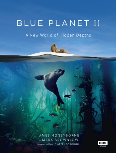 Blue Planet II - a new world of hidden depths