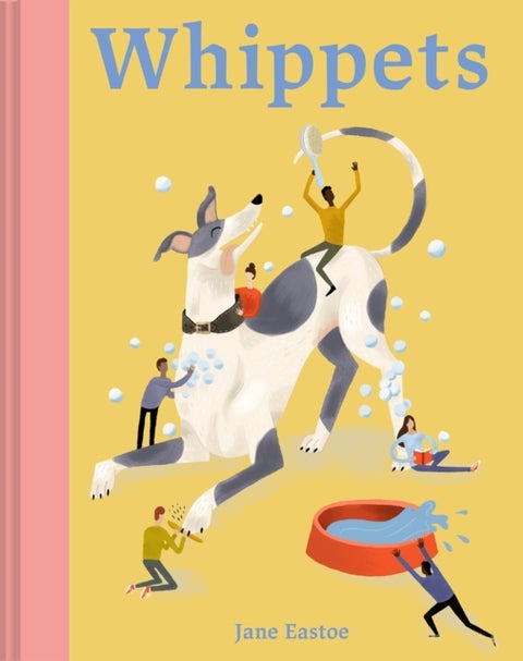 Whippets - What whippets want: in their own words, woofs and wags