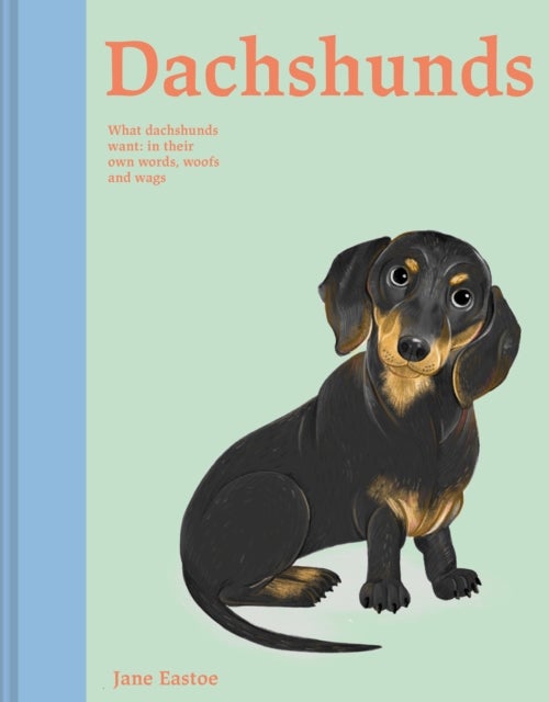 Dachshunds - What Dachshunds want: in their own words, woofs and wags