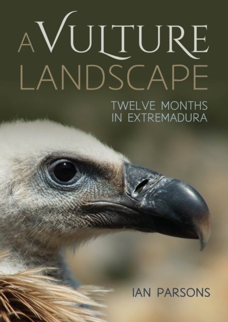 A Vulture Landscape - Twelve Months in Extremadura