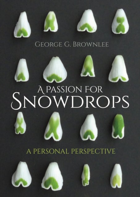 A Passion for Snowdrops - a personal perspective