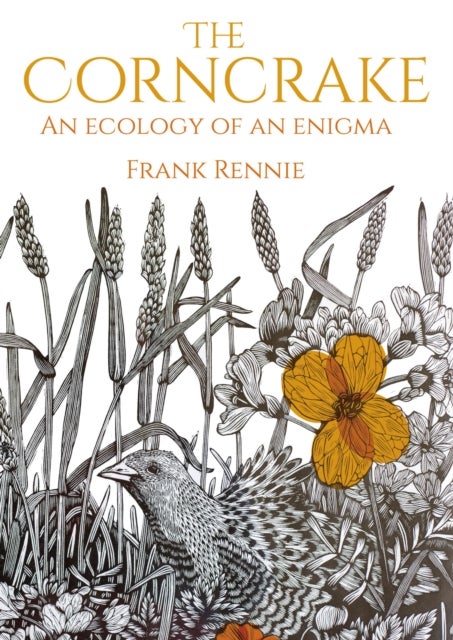 The Corncrake - An Ecology of an Enigma