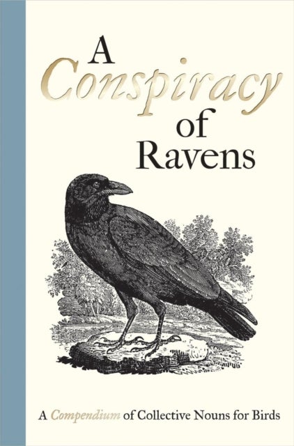 A Conspiracy of Ravens - A Compendium of Collective Nouns for Birds