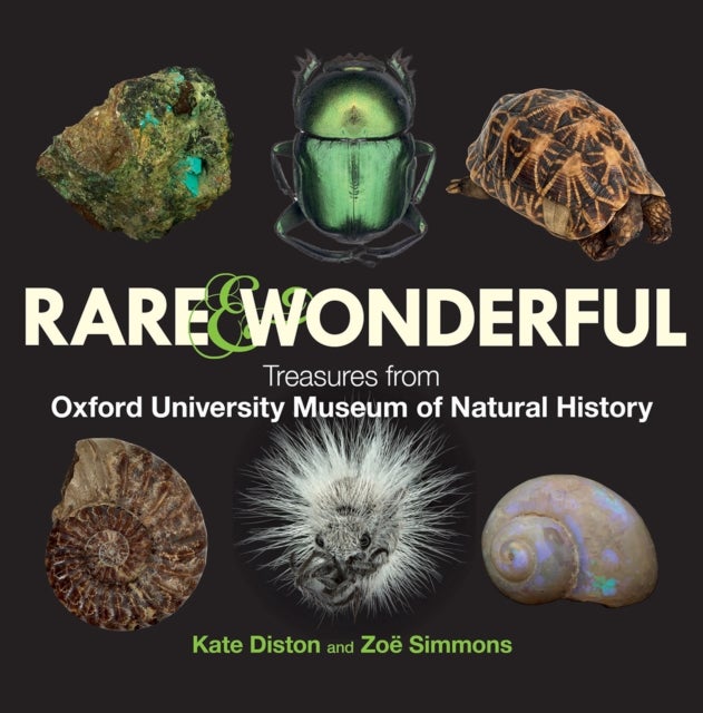 Rare & Wonderful - Treasures from Oxford University Museum of Natural History