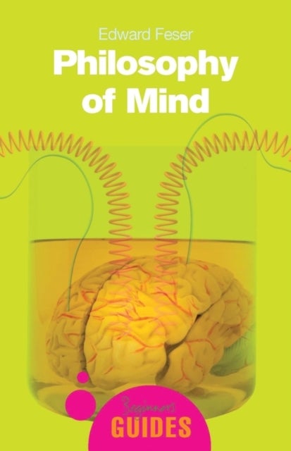 Philosophy of Mind - A Beginner's Guide
