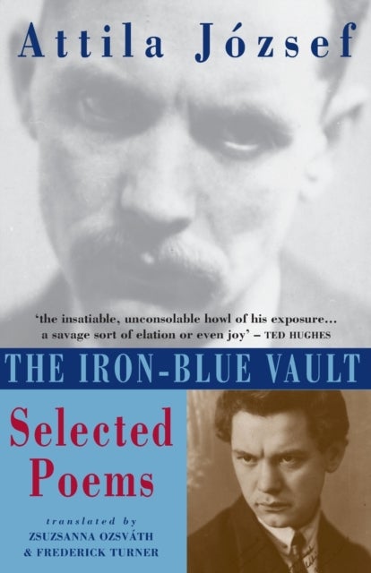The Iron-Blue Vault - Selected Poems