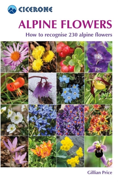 Alpine Flowers - How to recognise 230 alpine flowers