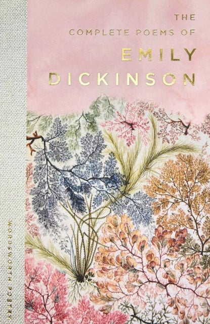 The Selected Poems of Emily Dickinson - Wordsworth Poetry Library