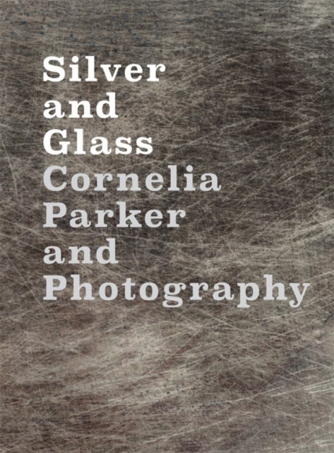 Silver and Glass - Cornelia Parker and Photography