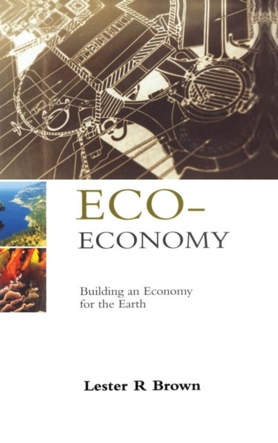 Eco-Economy - Building an Economy for the Earth