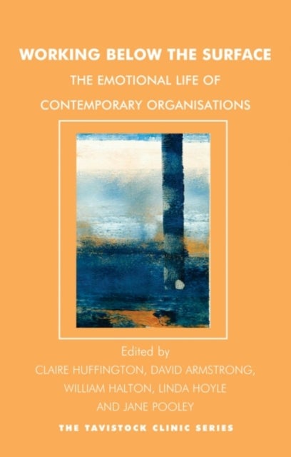 Working Below the Surface - The Emotional Life of Contemporary Organizations