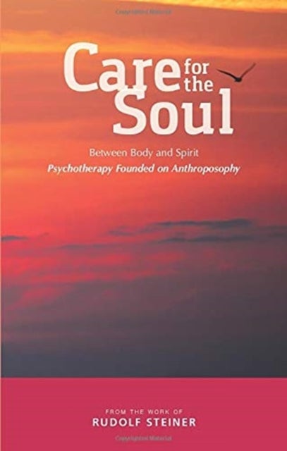 Care for the Soul - Between Body and Spirit – Psychotherapy Founded on Anthroposophy