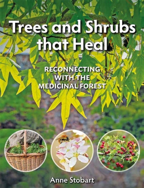 Trees and Shrubs that Heal - Reconnecting With The Medicinal Forest
