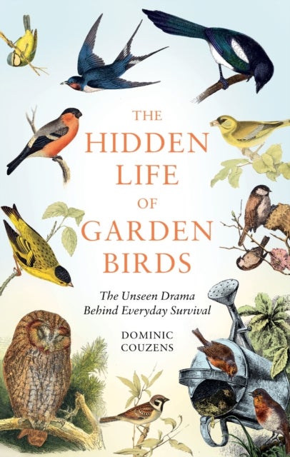 The Hidden Life of Garden Birds - The unseen drama behind everyday survival