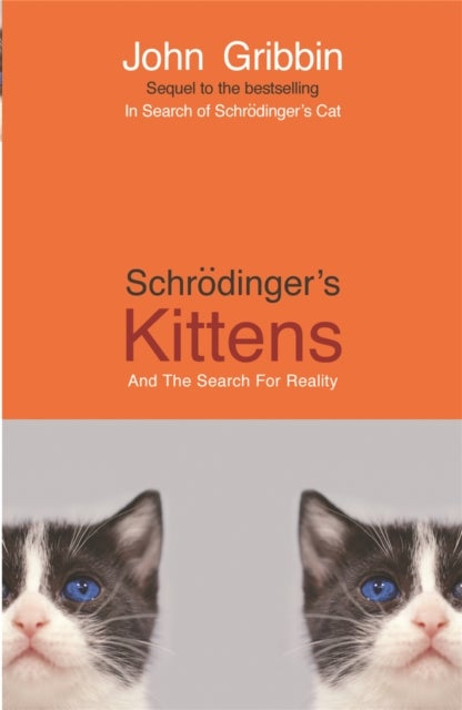 Schrodinger's Kittens - And The Search For Reality