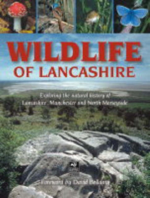 Wildlife of Lancashire - Exploring the Natural History of Lancashire, Manchester and North Merseyside