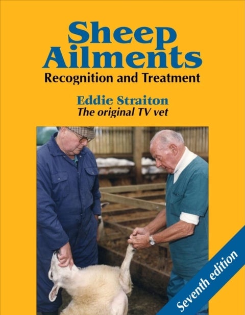 Sheep Ailments - Recognition and Treatment