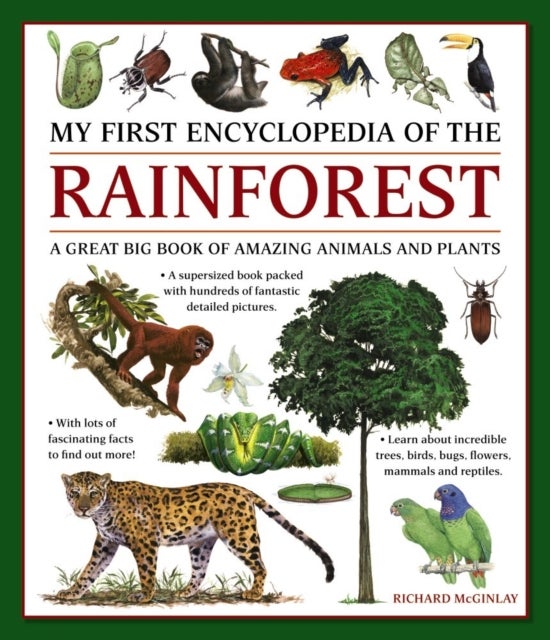 My First Encyclopedia of the Rainforest - A Great Big Book of Amazing Animals and Plants