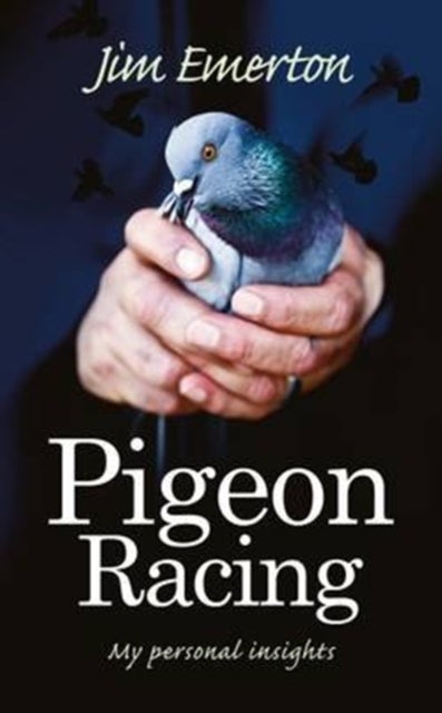 Pigeon Racing - My Personal Insights