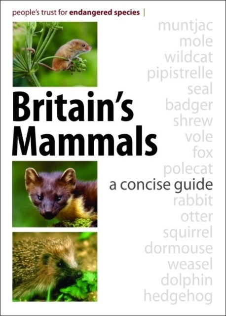 Britain's Mammals - A Concise Guide