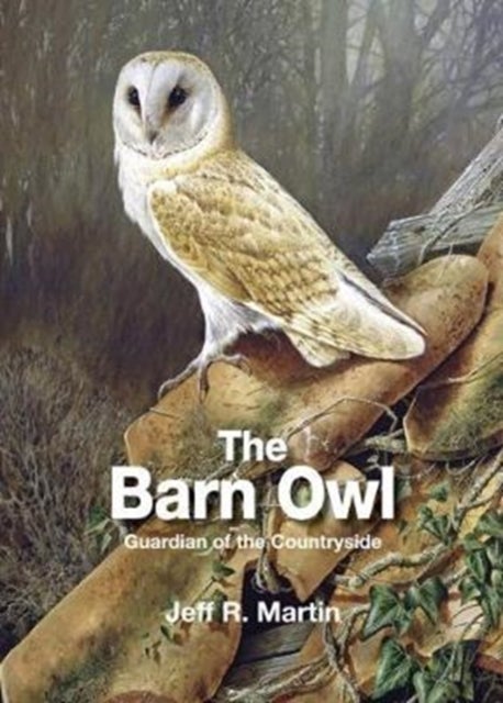 The Barn Owl - Guardian of the Countryside