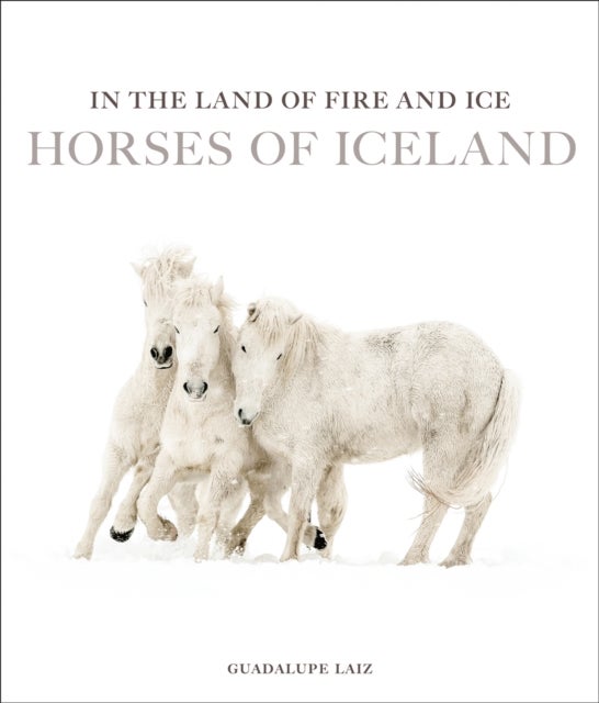 In the Land of Fire and Ice - Horses of Iceland