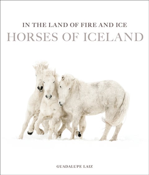 In the Land of Fire and Ice - Horses of Iceland