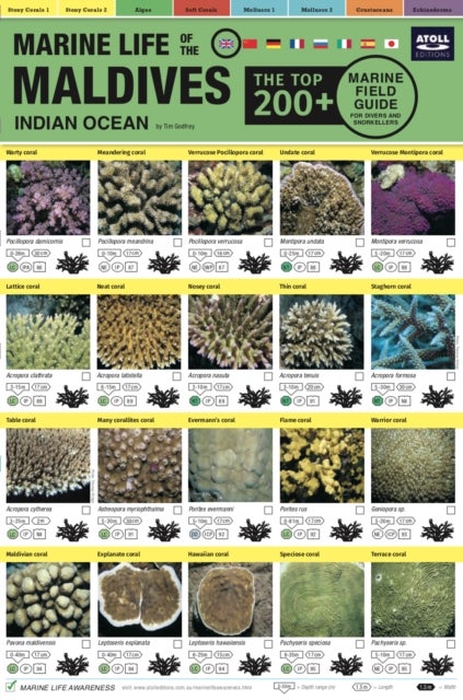 Maldives Marine Life Field Guide - "Top 200+"