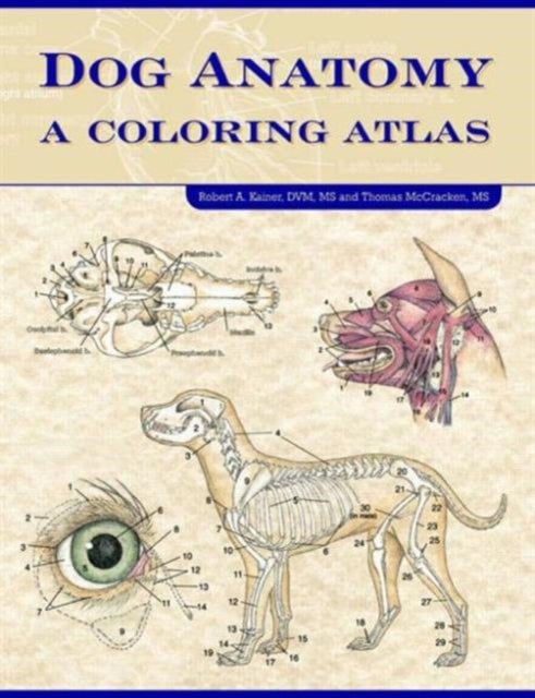 Dog Anatomy - A Coloring Atlas