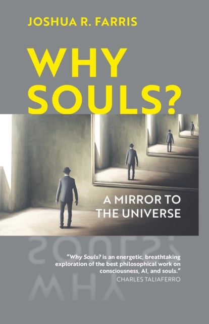 Why Souls? - A Mirror to the Universe