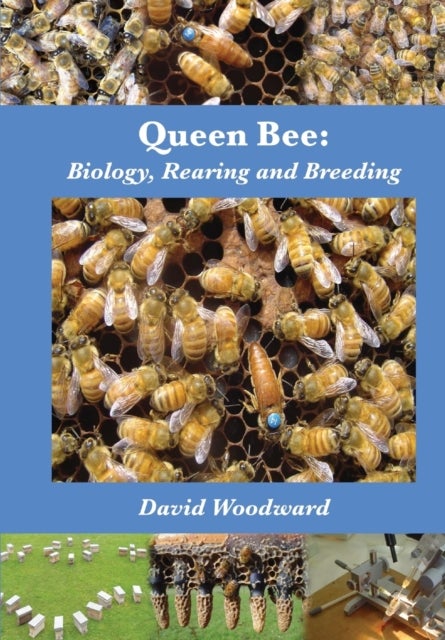 Queen Bee - Biology, Rearing and Breeding
