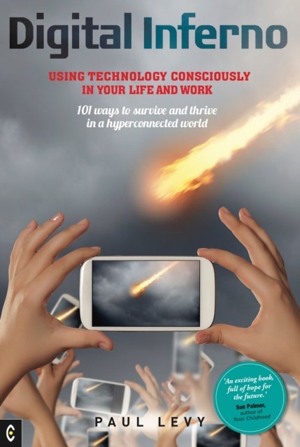 Digital Inferno - Using Technology Consciously in Your Life and Work, 101 Ways to Survive and Thrive in a Hyperconnected World