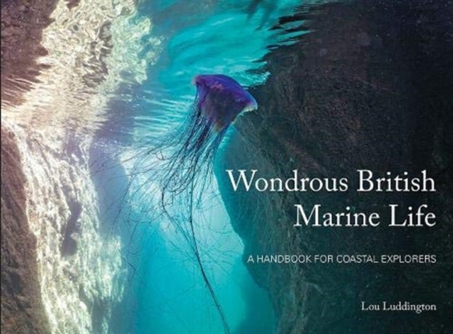 Wondrous British Marine Life - A handbook for coastal explorers