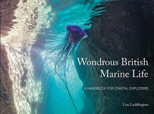 Wondrous British Marine Life - A handbook for coastal explorers