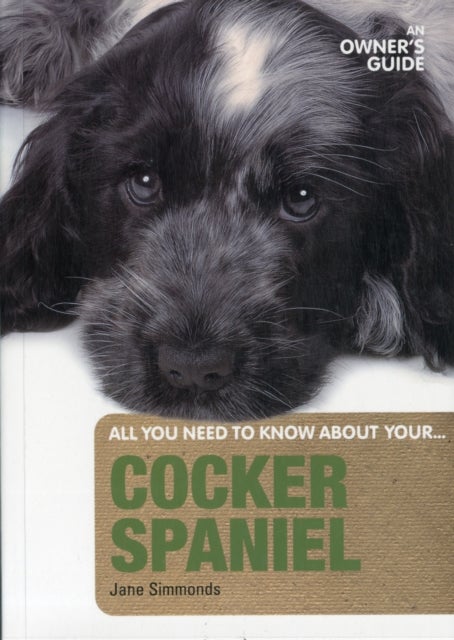 Cocker Spaniel - An Owner's Guide