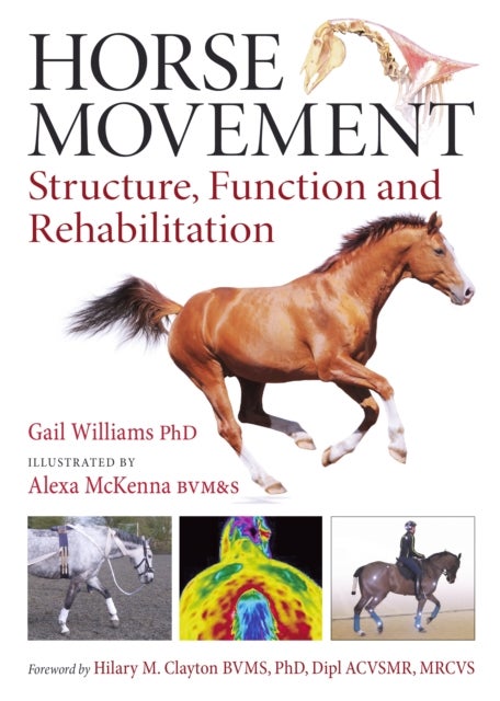 Horse Movement - Structure, Function and Rehabilitation