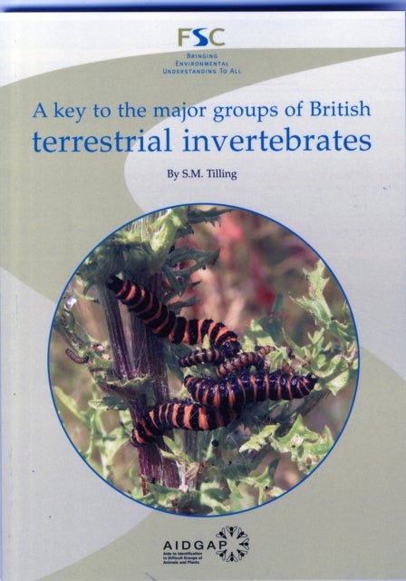 A Key to the Major Groups of Terrestrial Invertebrates