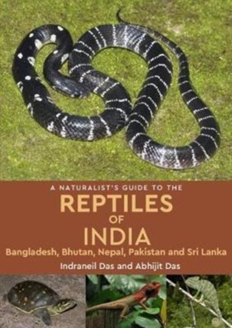 A Naturalist's Guide to the Reptiles of India