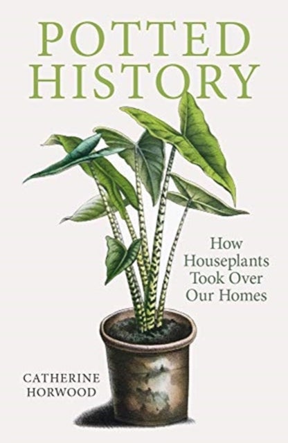 Potted History - How Houseplants Took Over Our Homes