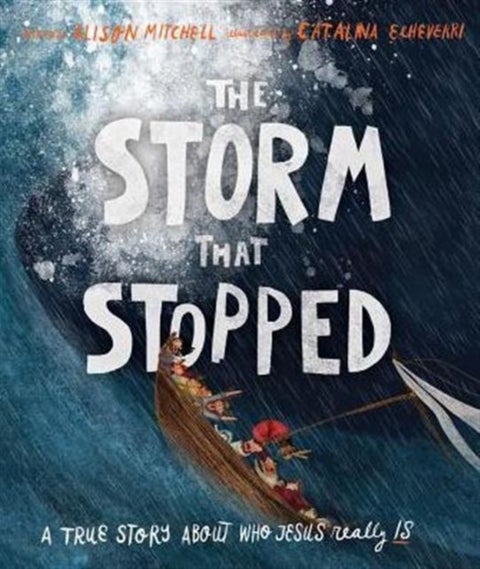 The Storm That Stopped Storybook - A true story about who Jesus really is