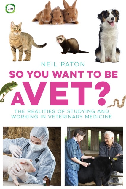 So You Want to Be a Vet: The Realities of Studying and Working in Veterinary Medicine - The Realities of Studying and Working in Veterinary Medicine
