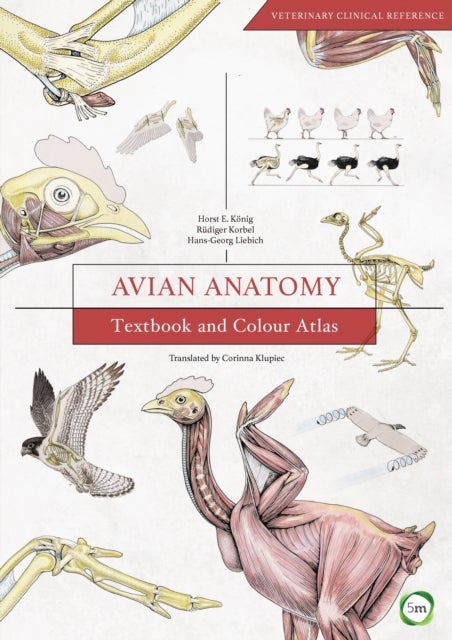Avian Anatomy 2nd Edition: Textbook and Colour Atlas - Textbook and Colour Atlas